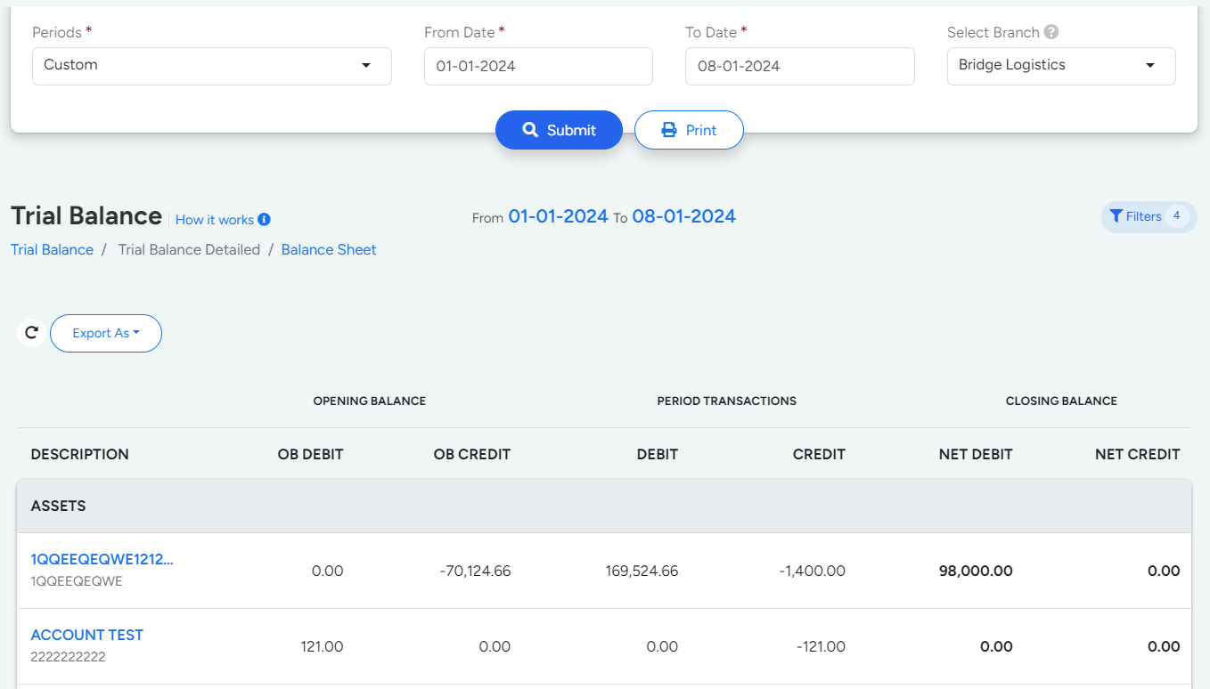 Trial Balance Detailed in Bridge LCS Transport Logistics Software