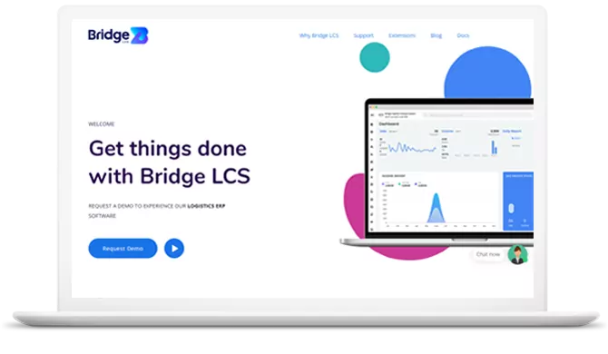 Bridge LCS Website development service